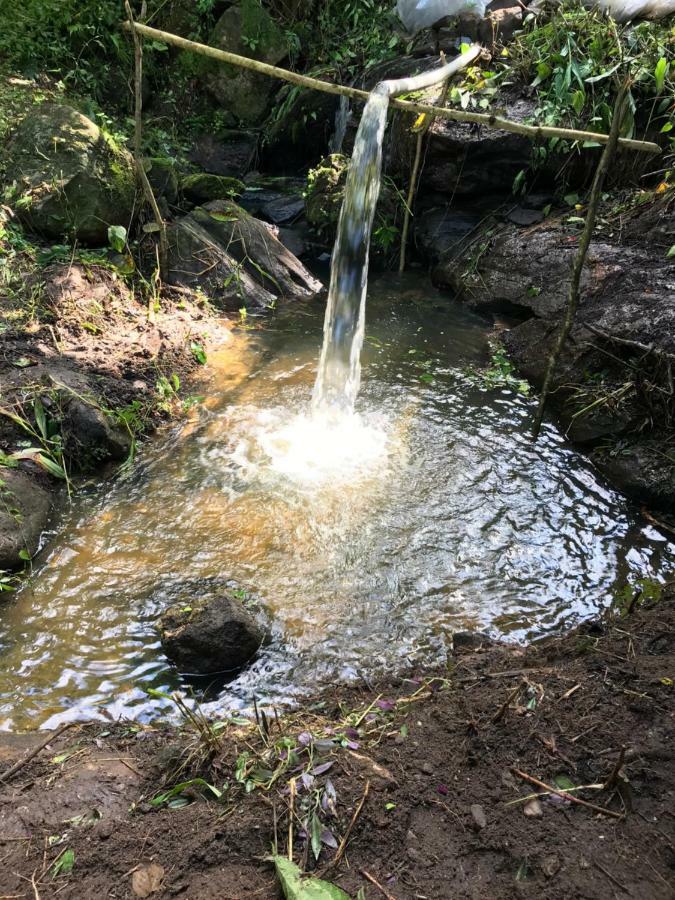 Chale Suico - Chales Belo Monte - Sitio Belo Monte パコチ エクステリア 写真